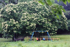 大きな栗の木の下で①