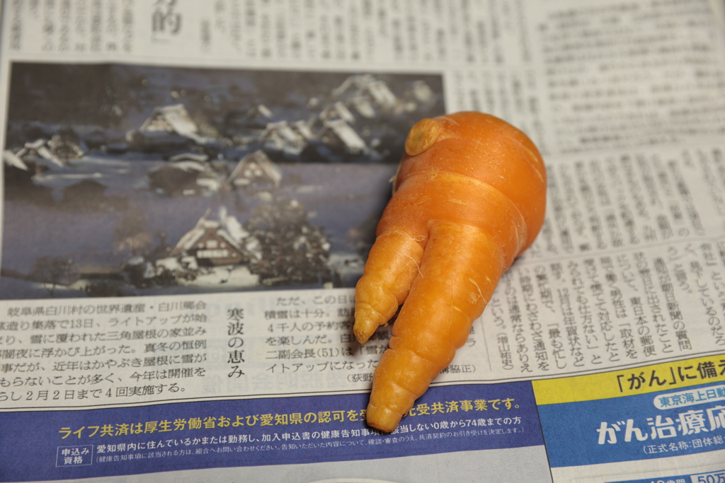 大根足じゃなくて人参足