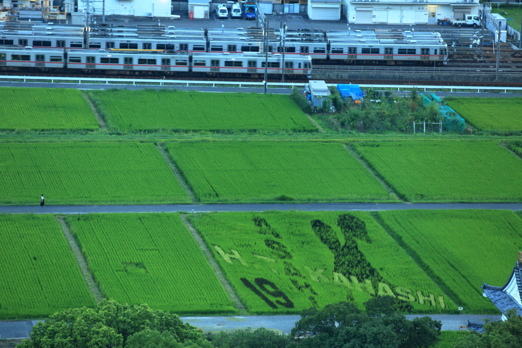 尾張旭市は高橋宏斗推し①