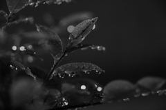 梅雨時の夜①