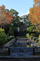 春日井市都市緑化植物園①