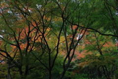 今が旬と①