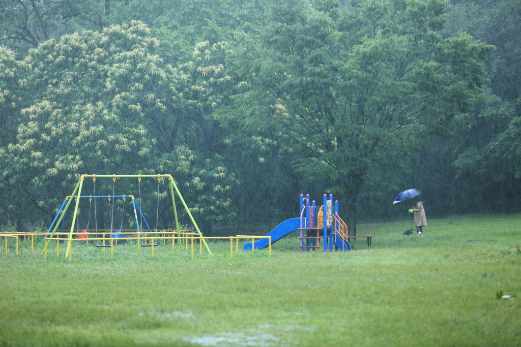 土砂降りの雨の中で