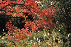 中山道にて