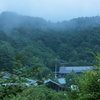 雨の根羽村②