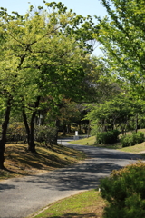 新緑の小径