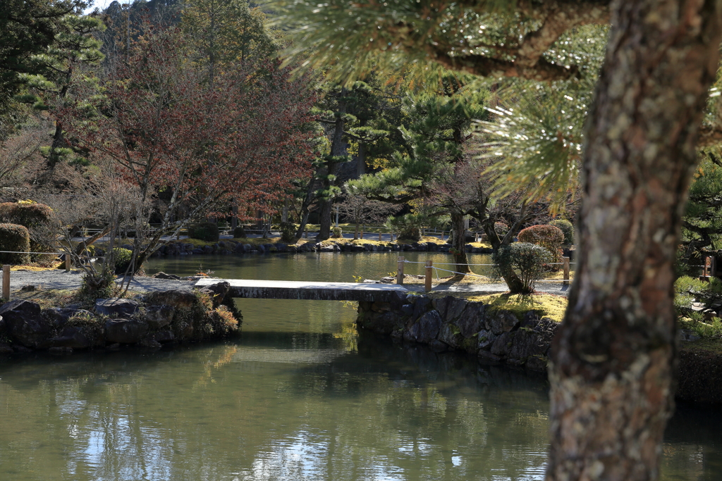 昼下がりに一人っきり③