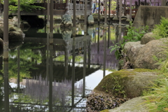 天王川公園にて