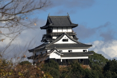 人の顔に見えませんか？