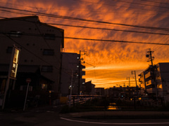 燃える①