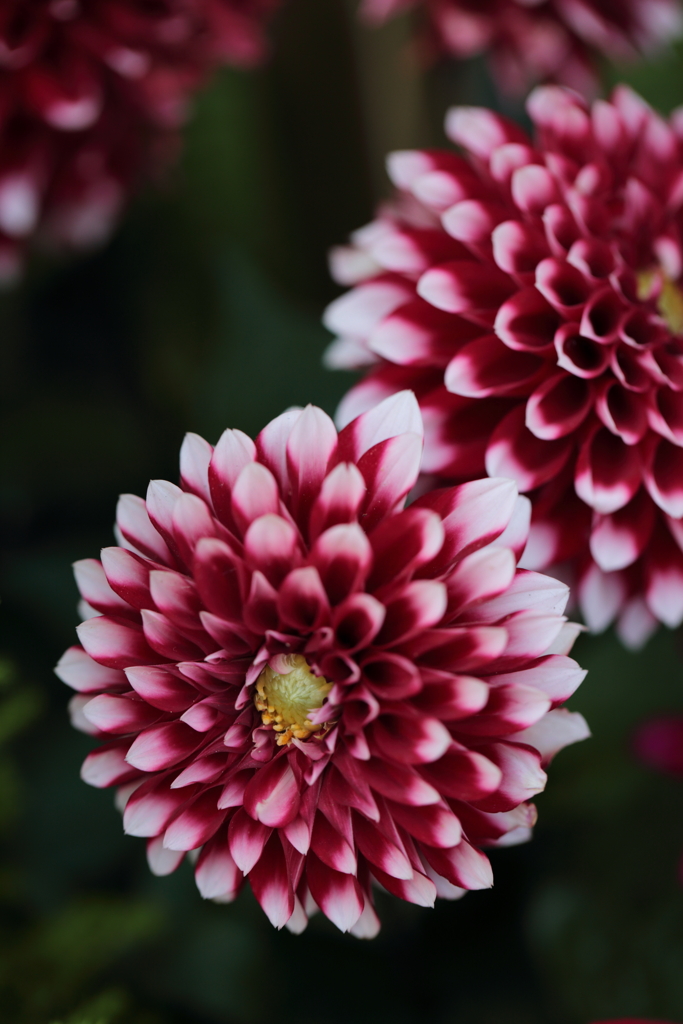 季節外れの花火大会