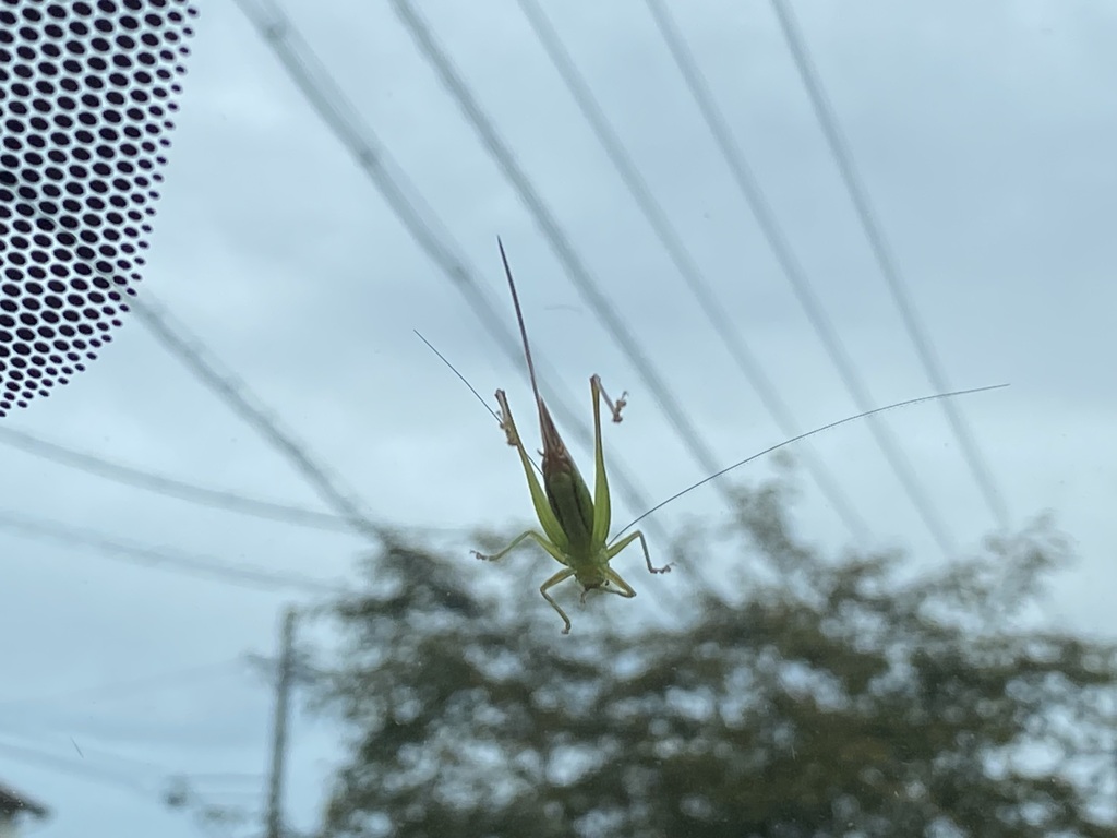 番外編