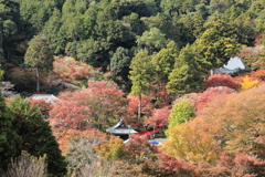 豊橋・普門寺を俯瞰する①