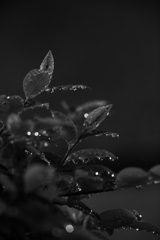 梅雨時の夜②