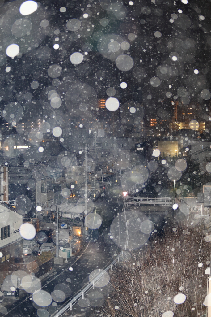 明日の朝が怖い