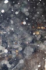 明日の朝が怖い