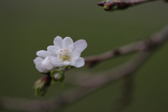 100mmの視線②