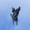 岐阜基地　機動飛行訓練