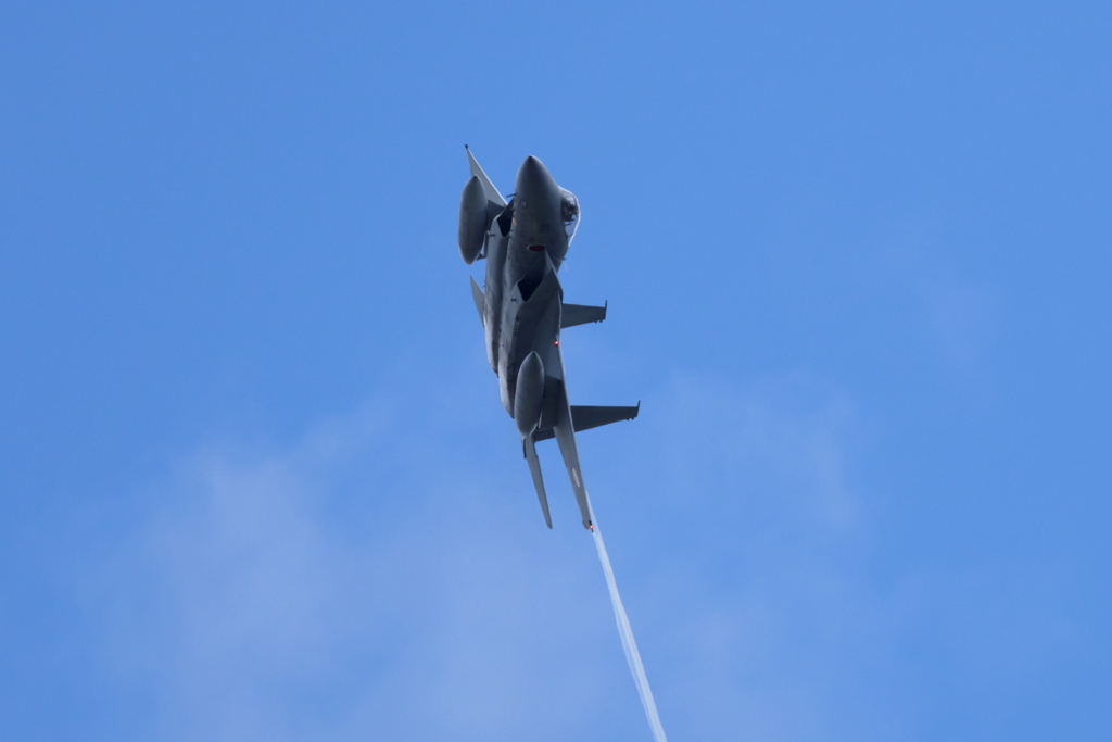 岐阜基地　機動飛行訓練