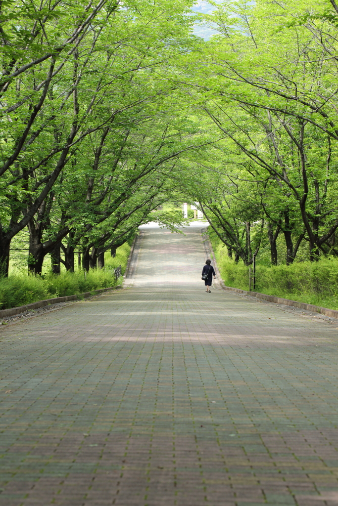 初夏、緑の中で