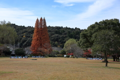定光寺③
