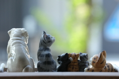 わが家のペット達