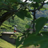 葉の隙間から②