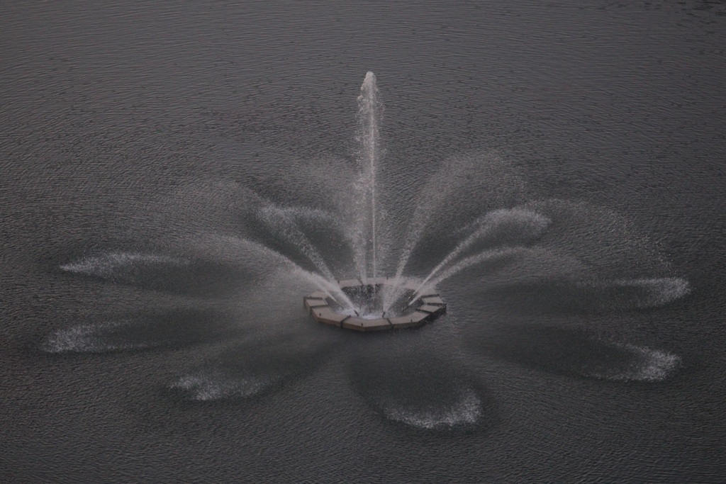 水中花