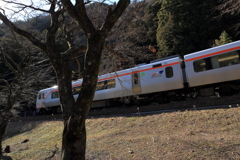 特急「ひだ」②