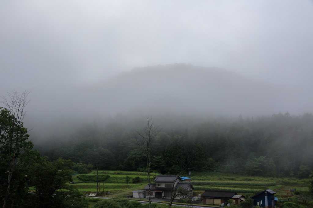 白いベールに包まれて