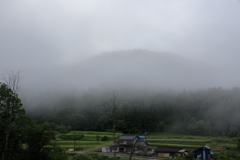 白いベールに包まれて