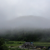 白いベールに包まれて