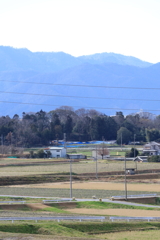 冬の田んぼ