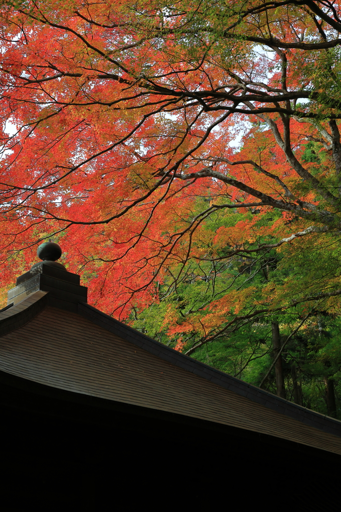 普門寺にて②