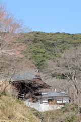 ピンクに染まるのを待つ