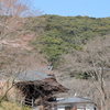 ピンクに染まるのを待つ