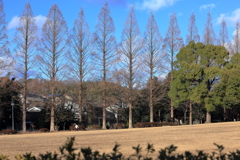 歩こう歩こう わたしは元気♪