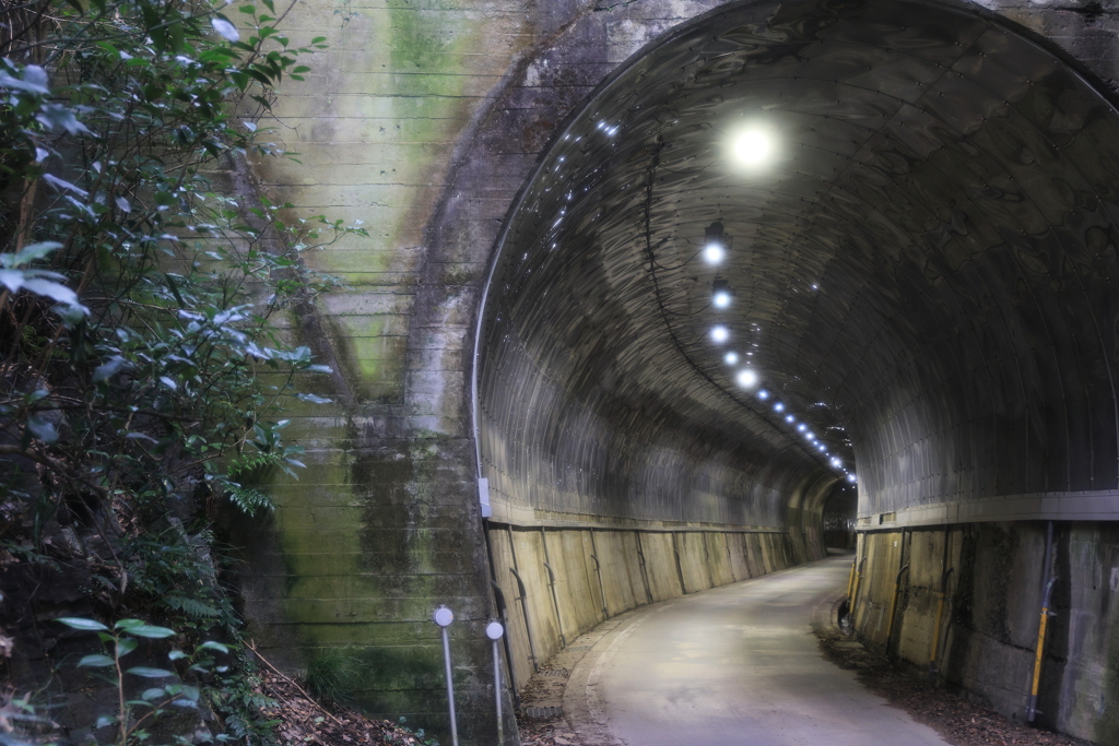 蘇水峡トンネル②