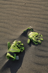 透明人間、砂浜で遊ぶ