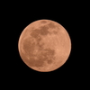 今夜はゆっくり歩こう