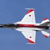 岐阜基地航空祭の事前訓練②