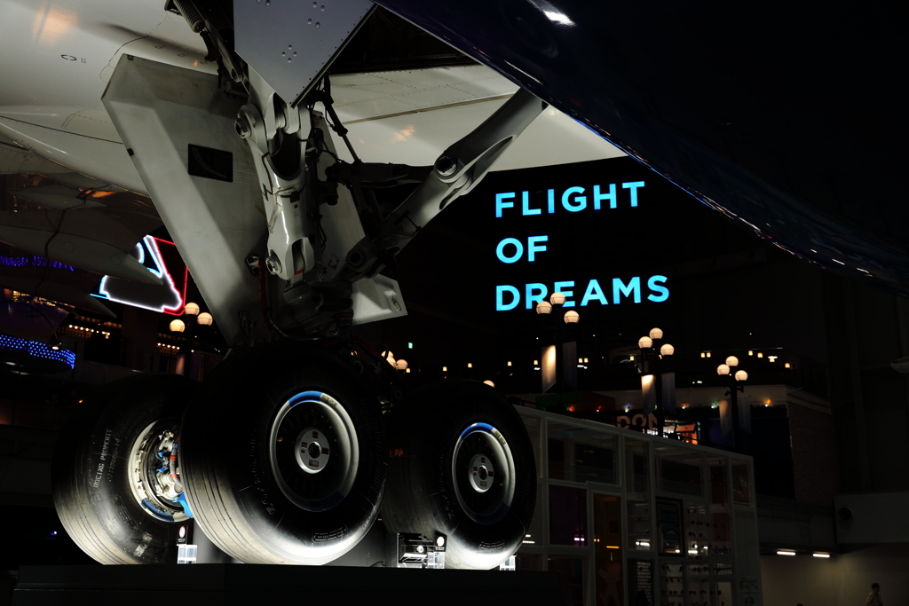 FLIGHT OF DREAMSへ行ってきた②