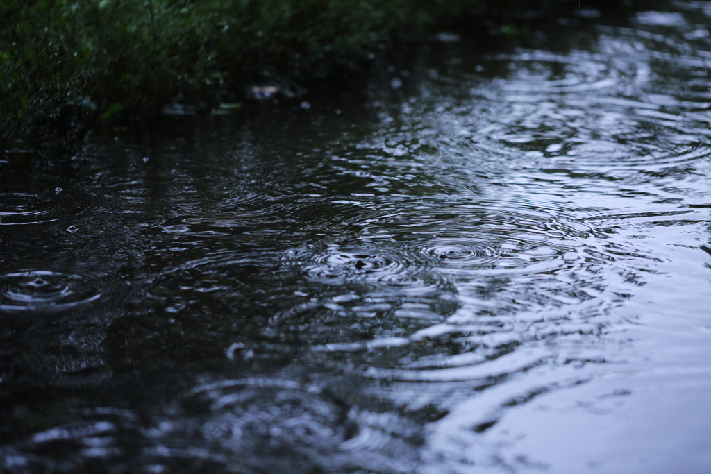 雨粒の声が聞こえる②