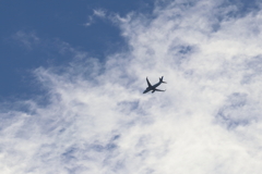 IMG_1819