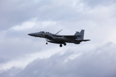 F15