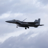F15