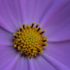 COSMO（宇宙）S　②