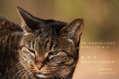 穏・幸・明