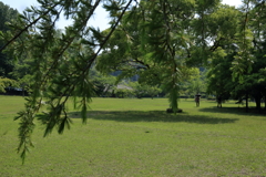 今年初の真夏日①