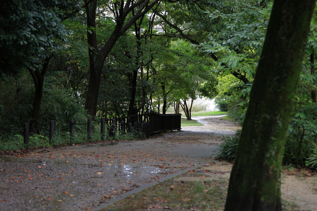 雨上がり